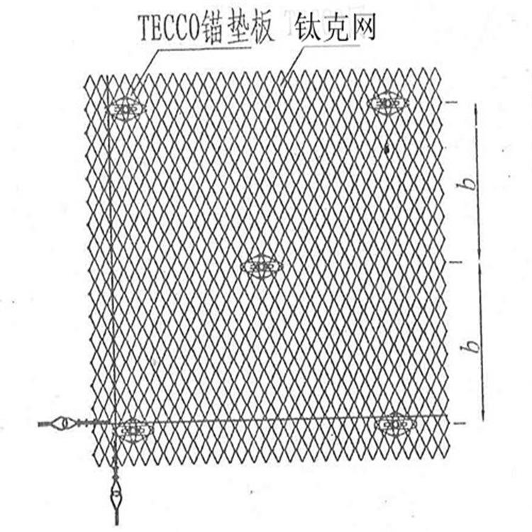 钛克网6_副本.jpg